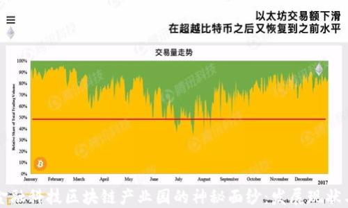 
揭开国际金融科技区块链产业园的神秘面纱：发展现状与未来展望