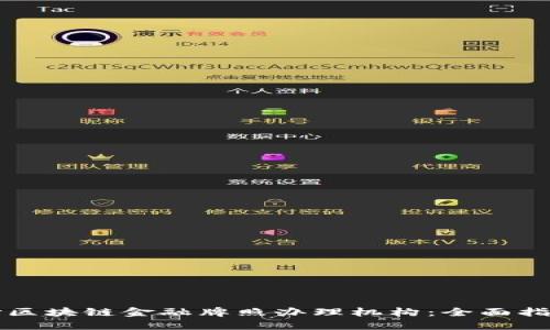 如何选择区块链金融牌照办理机构：全面指南与推荐