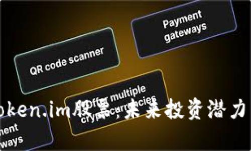 深入分析Token.im股票：未来投资潜力与风险评估