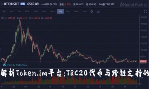 深入解析Token.im平台：TRC20代币与跨链支持的挑战