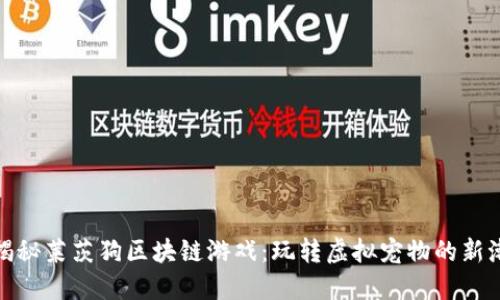 : 揭秘莱茨狗区块链游戏：玩转虚拟宠物的新潮流