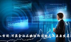 深入分析：万盈金融区块
