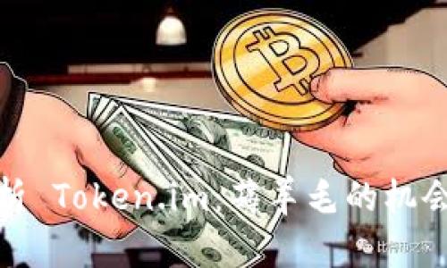 深入解析 Token.im：薅羊毛的机会与风险