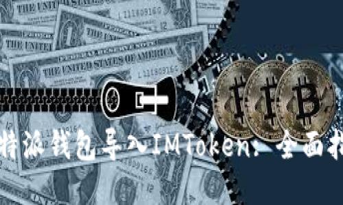 如何将比特派钱包导入IMToken: 全面指南与技巧