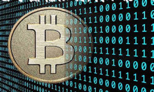 为了确保信息的准确性和完整性，响应将围绕 