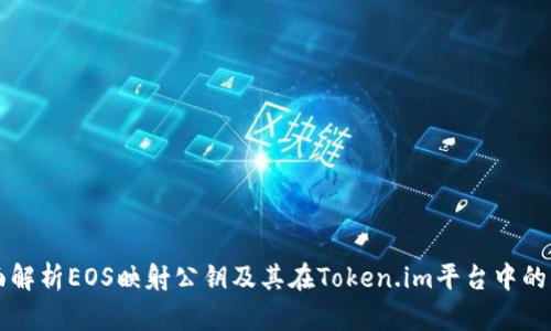 全面解析EOS映射公钥及其在Token.im平台中的应用