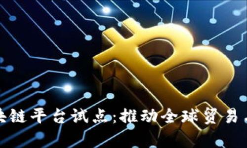 探索跨境金融区块链平台试点：推动全球贸易与金融效率新纪元