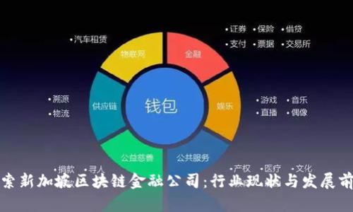 探索新加坡区块链金融公司：行业现状与发展前景