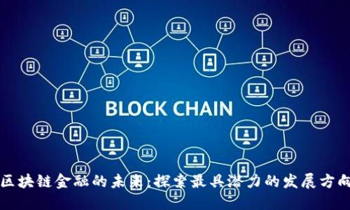 区块链金融的未来：探索最具潜力的发展方向